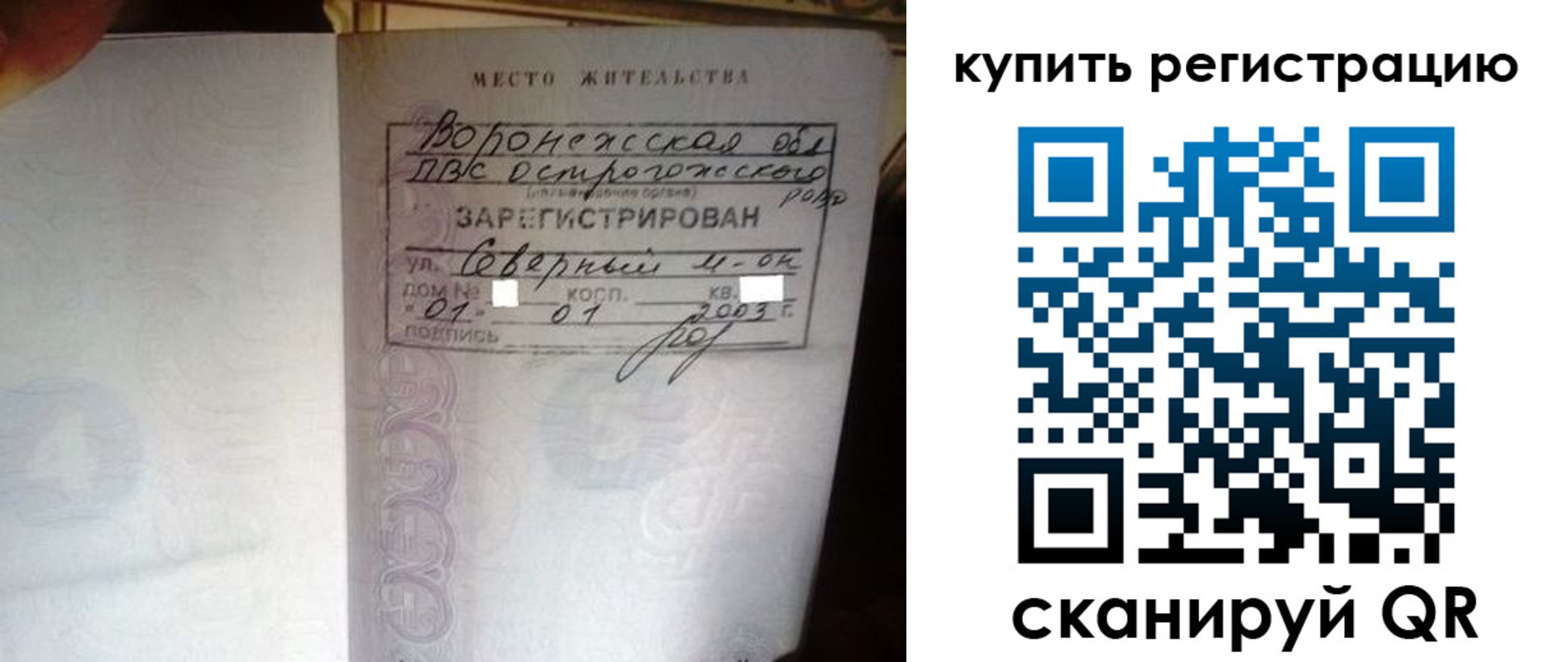 прописка поиск в Павловске